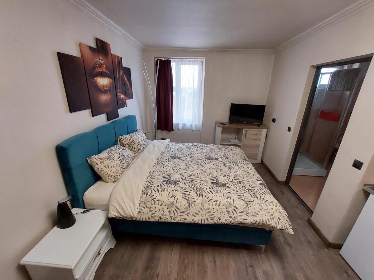 Apartment First December Oradea Bagian luar foto